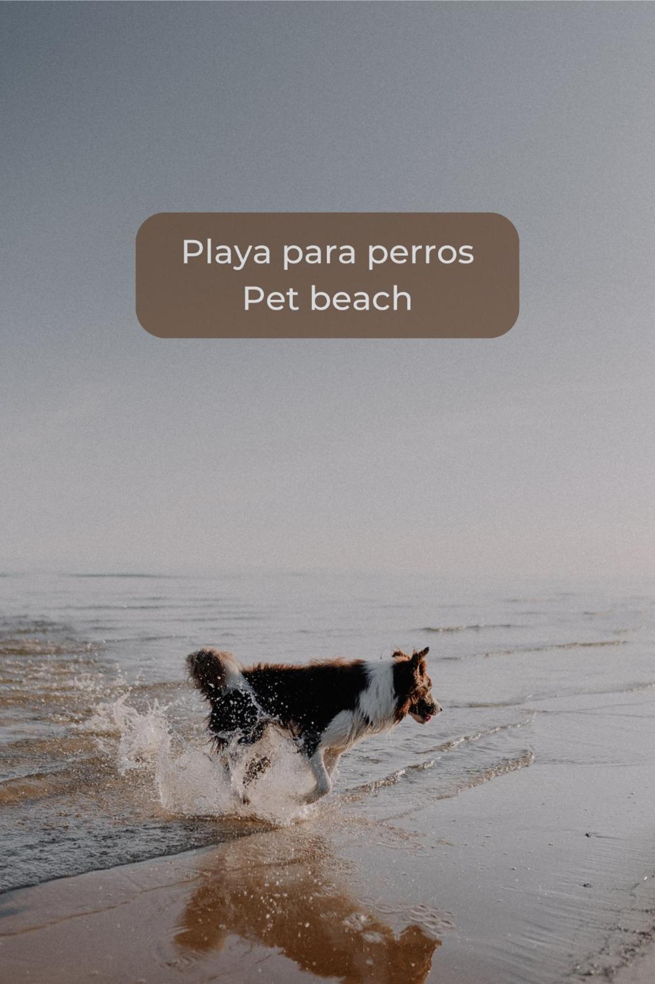 Canelita Con Piscina, Soleada Terraza Amplia Wifi Y Parking Corralejo Ngoại thất bức ảnh
